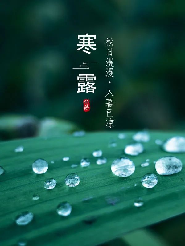 寒露，露似真珠月似弓