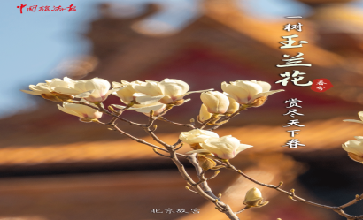 春分，共赴一場春日花事！